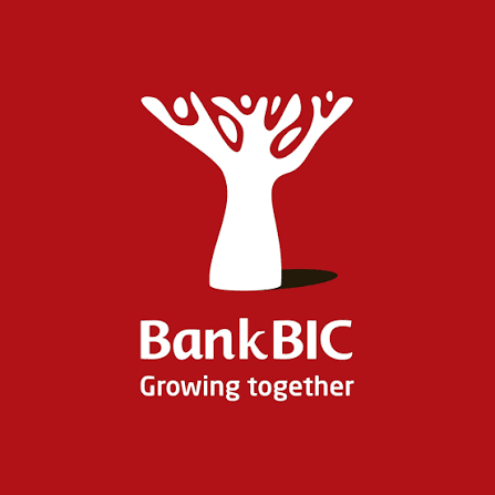 Bank BIC Namibia Limited