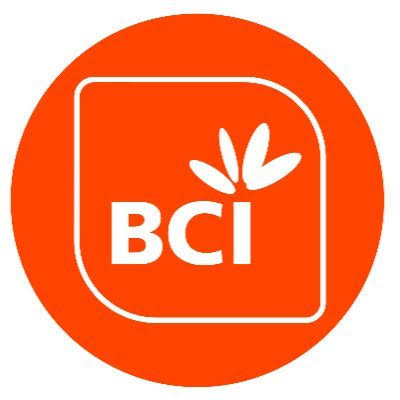 Banco Comercial e de Investimentos (BCI)