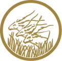 BEAC — Central Bank