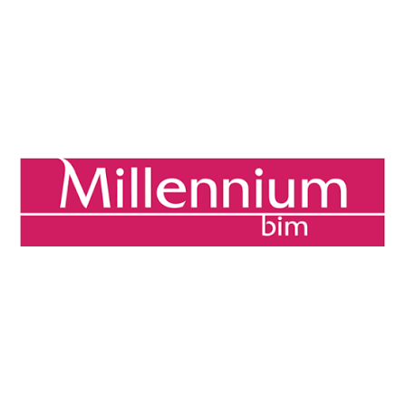 Millennium bim