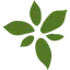 AFCG