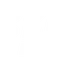 BB