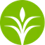 CF
