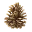 CKX