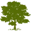 CYH