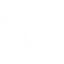 FGI