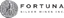 FSM