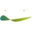 IVA