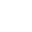 STT