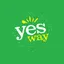 YSWY